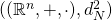 ((\mathbb R^n, +, \cdot), d_N^2)